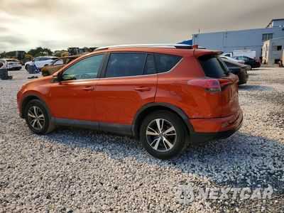 Drugie zdjęcie samochodu z przodu: 2016 TOYOTA RAV4 XLE VIN:2T3WFREV5GW254049 - miniatura