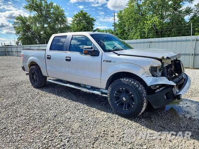 Czwarte zdjęcie samochodu z boku: 2014 FORD F150 SUPERCREW VIN:1FTFW1EF3EKE72975 - miniatura