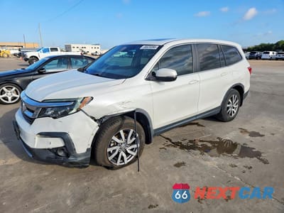 2021 HONDA PILOT EXL 5FNYF5H51MB037869 - główne zdjęcie licytacji z USA - miniatura