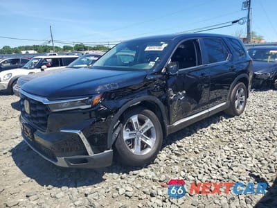 2024 HONDA PILOT EXL 5FNYG1H44RB012193 - główne zdjęcie licytacji z USA - miniatura