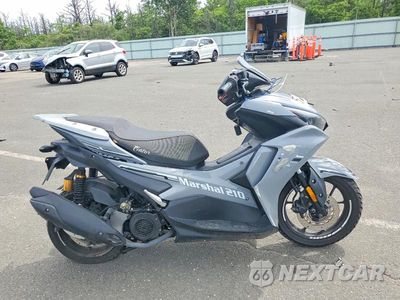 2024 ZHEJIANG GATOR 200 VECTOR L5YTCLAZ8R1133365 - główne zdjęcie licytacji z USA - miniatura