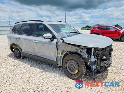Czwarte zdjęcie samochodu z boku: 2025 KIA TELLURIDE SX X-LINE VIN:5XYP5DGC1SG671469 - miniatura