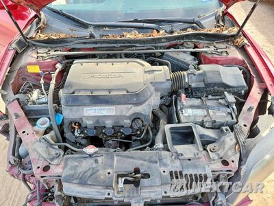 Zdjęcie 11 z 12 samochodu: 2013 HONDA ACCORD EXL VIN:1HGCT2B82DA010498 - miniatura