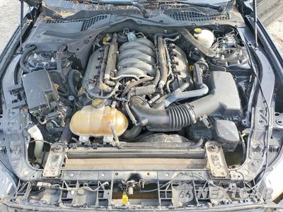 Zdjęcie 11 z 12 samochodu: 2015 FORD MUSTANG GT VIN:1FA6P8CFXF5342366 - miniatura