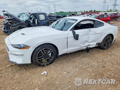 2020 FORD MUSTANG 1FA6P8TH0L5140262 - główne zdjęcie licytacji z USA - miniatura