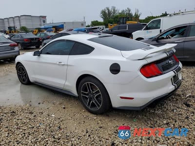 Drugie zdjęcie samochodu z przodu: 2019 FORD MUSTANG VIN:1FA6P8TH9K5157334 - miniatura