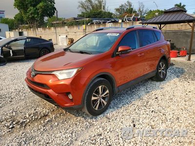 2016 TOYOTA RAV4 XLE 2T3WFREV5GW254049 - główne zdjęcie licytacji z USA - miniatura