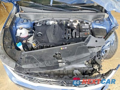 Zdjęcie 12 z 14 samochodu: 2024 KIA SORENTO S VIN:5XYRLDJC8RG278957 - miniatura