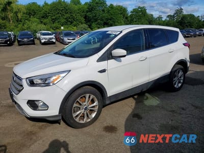 2019 FORD ESCAPE 1FMCU0GD3KUB65252 - główne zdjęcie licytacji z USA - miniatura