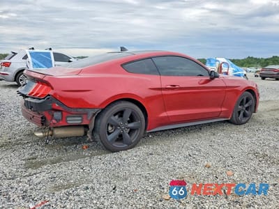 Trzecie zdjęcie samochodu z tyłu: 2021 FORD MUSTANG VIN:1FA6P8THXM5111496 - miniatura