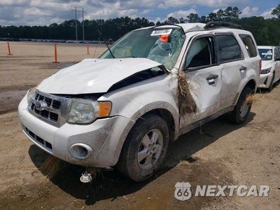 2012 FORD ESCAPE XLT 1FMCU0DG7CKA08254 - główne zdjęcie licytacji z USA - miniatura