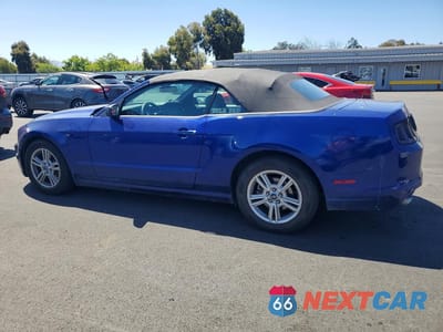 Drugie zdjęcie samochodu z przodu: 2013 FORD MUSTANG VIN:1ZVBP8EM7D5219185 - miniatura