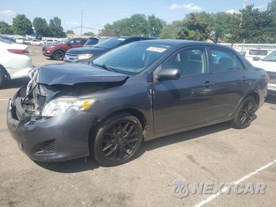2010 TOYOTA COROLLA BASE 2T1BU4EE6AC437727 - główne zdjęcie licytacji z USA - miniatura