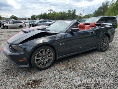 2012 FORD MUSTANG GT 1ZVBP8FF0C5288217 - główne zdjęcie licytacji z USA - miniatura