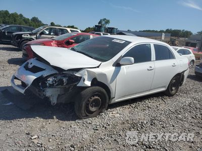 2010 TOYOTA COROLLA BASE 2T1BU4EE4AC315237 - główne zdjęcie licytacji z USA - miniatura