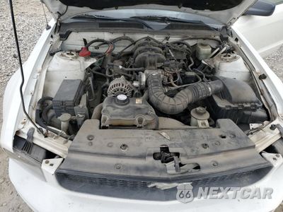 Zdjęcie 11 z 12 samochodu: 2006 FORD MUSTANG VIN:1ZVFT80N765175933 - miniatura