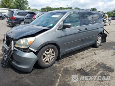 2021 HONDA ODYSSEY EXL 5FNRL38637B099384 - główne zdjęcie licytacji z USA - miniatura