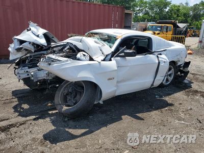 2014 FORD MUSTANG GT 1ZVBP8CF9E5325577 - główne zdjęcie licytacji z USA - miniatura