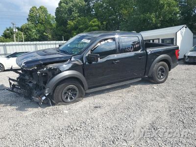 2023 FORD F150 RAPTOR 1FTFW1RG2PFB68857 - główne zdjęcie licytacji z USA - miniatura
