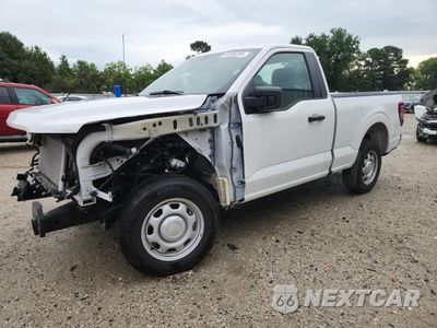 2024 FORD F150 XL 1FTMF1K57RKF36573 - główne zdjęcie licytacji z USA - miniatura