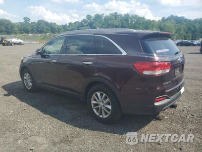 Drugie zdjęcie samochodu z przodu: 2016 KIA SORENTO LX VIN:5XYPGDA57GG076413 - miniatura