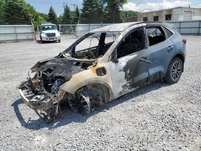 2025 FORD ESCAPE 1FMCU0E16SUA77868 - główne zdjęcie licytacji z USA - miniatura