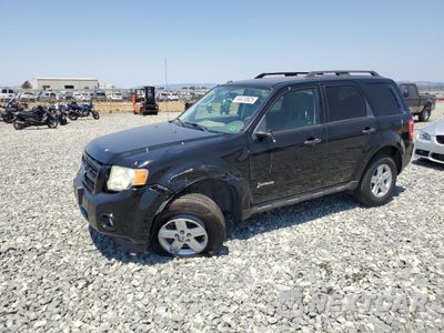 2009 FORD ESCAPE HYBRID 1FMCU49399KB39692 - główne zdjęcie licytacji z USA - miniatura