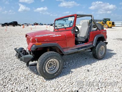 1991 JEEP WRANGLER / YJ 2J4FY29SXMJ109976 - główne zdjęcie licytacji z USA - miniatura