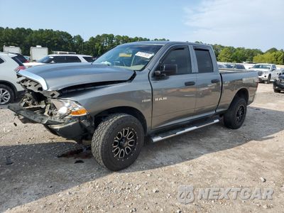 2009 DODGE RAM 1500 1D3HV18T09S799313 - główne zdjęcie licytacji z USA - miniatura