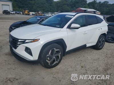 2024 HYUNDAI TUCSON SEL 5NMJFCDE1RH334982 - główne zdjęcie licytacji z USA - miniatura