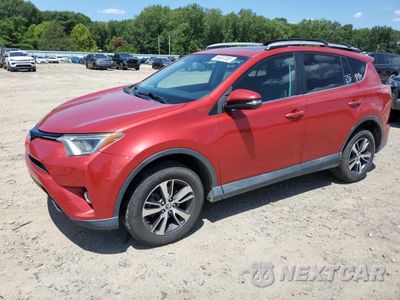 2016 TOYOTA RAV4 XLE 2T3WFREV4GW248484 - główne zdjęcie licytacji z USA - miniatura