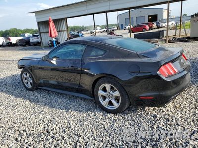 Drugie zdjęcie samochodu z przodu: 2015 FORD MUSTANG VIN:1FA6P8AM4F5347354 - miniatura