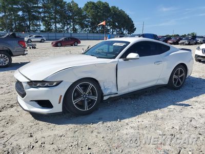 2024 FORD MUSTANG 1FA6P8TH9R5105163 - główne zdjęcie licytacji z USA - miniatura