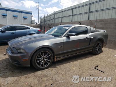 2014 FORD MUSTANG GT 1ZVBP8CF2E5324416 - główne zdjęcie licytacji z USA - miniatura