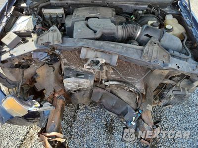 Zdjęcie 12 z 16 samochodu: 2004 FORD EXPEDITION XLT VIN:1FMPU16L54LA48149 - miniatura