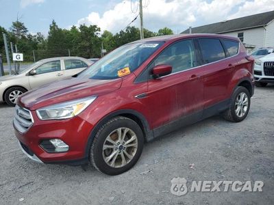 2019 FORD ESCAPE SE 1FMCU9GD5KUC44362 - główne zdjęcie licytacji z USA - miniatura