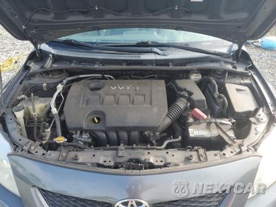 Zdjęcie 11 z 12 samochodu: 2010 TOYOTA COROLLA BASE VIN:2T1BU4EE9AC502487 - miniatura