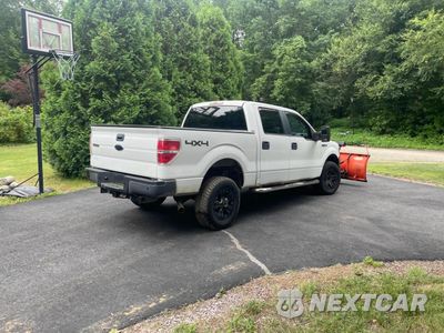 Czwarte zdjęcie samochodu z boku: 2010 FORD F150 SUPERCREW VIN:1FTEW1E84AFD59603 - miniatura