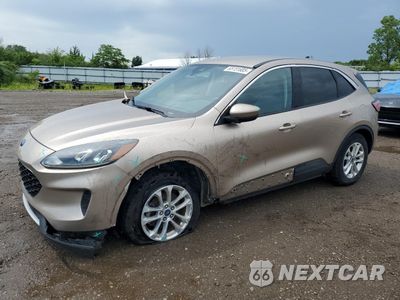 2020 FORD ESCAPE SE 1FMCU0G61LUC13267 - główne zdjęcie licytacji z USA - miniatura