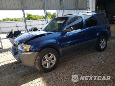 2007 FORD ESCAPE HEV 1FMCU49H07KB60844 - główne zdjęcie licytacji z USA - miniatura