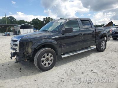 2013 FORD F150 SUPERCREW 1FTFW1EF2DFA56004 - główne zdjęcie licytacji z USA - miniatura