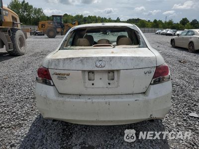 Zdjęcie 6 z 12 samochodu: 2008 HONDA ACCORD EXL VIN:1HGCP36848A041472 - miniatura