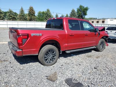 Trzecie zdjęcie samochodu z tyłu: 2024 FORD F150 XLT VIN:1FTFW3L83RFB82900 - miniatura