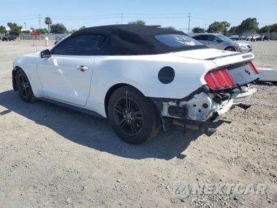 Drugie zdjęcie samochodu z przodu: 2016 FORD MUSTANG VIN:1FATP8UH2G5284631 - miniatura