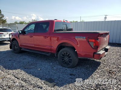 Drugie zdjęcie samochodu z przodu: 2024 FORD F150 XLT VIN:1FTFW3L83RFB82900 - miniatura