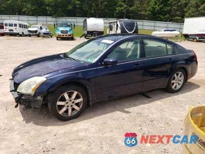 2004 NISSAN MAXIMA SE 1N4BA41E14C879915 - główne zdjęcie licytacji z USA - miniatura