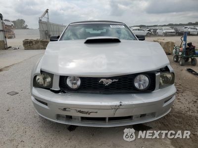 Piąte zdjęcie samochodu w środku: 2005 FORD MUSTANG GT VIN:1ZVFT85HX55223927 - miniatura