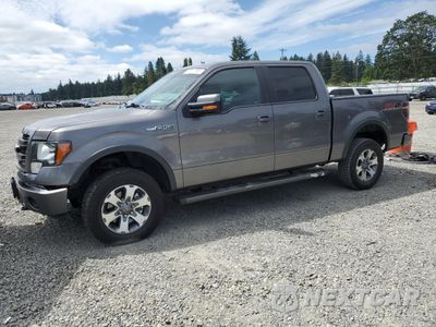 2013 FORD F150 SUPERCREW 1FTFW1EF2DFC43372 - główne zdjęcie licytacji z USA - miniatura