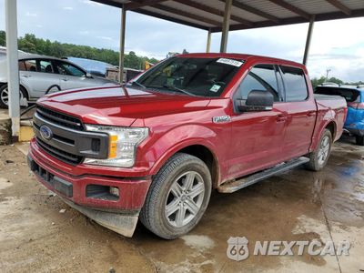 2019 FORD F150 SUPERCREW 1FTEW1CP4KKD22179 - główne zdjęcie licytacji z USA - miniatura