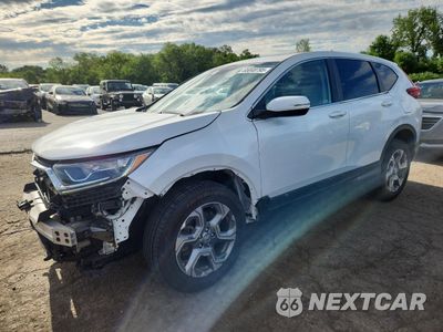 2019 HONDA CR-V EX 2HKRW2H55KH642334 - główne zdjęcie licytacji z USA - miniatura